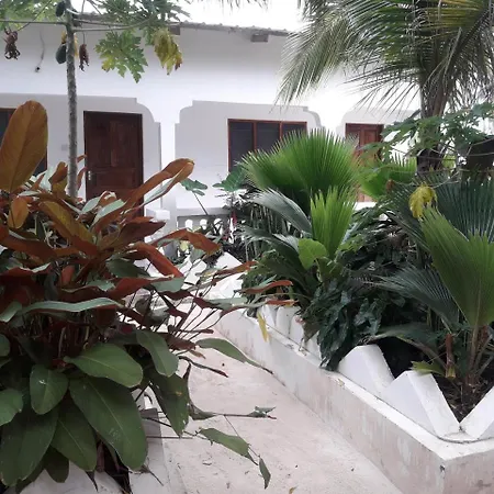 Ebony & Ivory Beach Bungalows-3